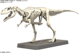 Pre-Order - PLANNOSAURUS Giganotosaurus