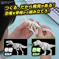 Pre-Order Plannosaurus No. 10 Tyrannosaurus Painting Ver.