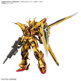 Pre-Order RG 1/144 AKATSUKI GUNDAM OOWASHI unit