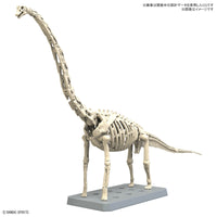 Pre-Order PLANNOSAURUS No. 10 Brachiosaurus