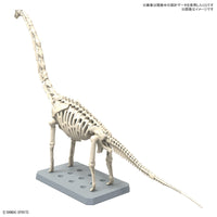 Pre-Order PLANNOSAURUS No. 10 Brachiosaurus