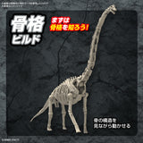 Pre-Order PLANNOSAURUS No. 10 Brachiosaurus